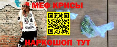 крисы Кингисепп