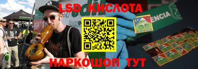 крисы Кингисепп