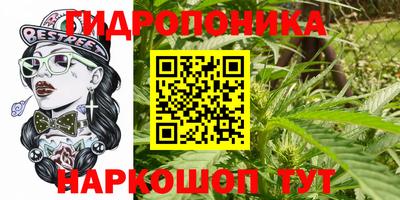 2c-b Кинель