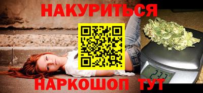 крисы Кингисепп
