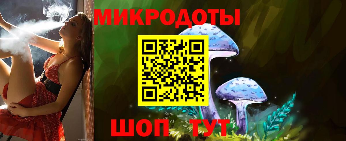 Галлюциногенные грибы GOLDEN TEACHER  закладки  Конаково  Вход с VPN 